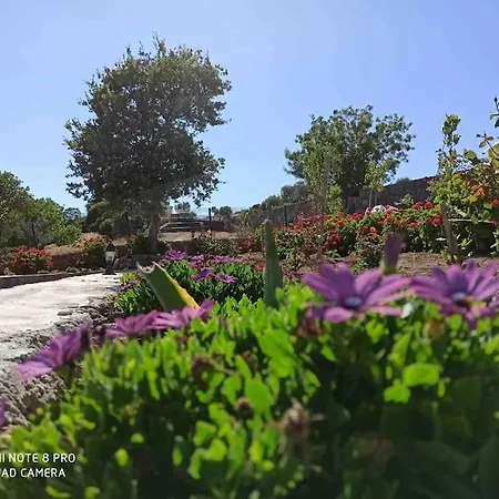 Konak Arya לינה וארוחת בוקר