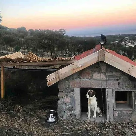 Konak Arya Ayvacik (Canakkale)