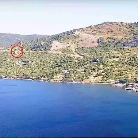 Konak Arya
