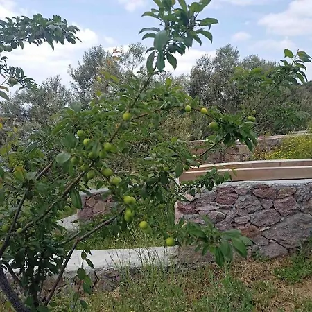 Konak Arya לינה וארוחת בוקר
