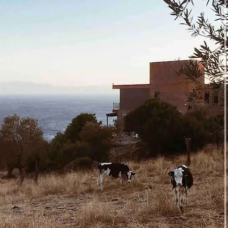 Konak Arya * Ayvacik (Canakkale)