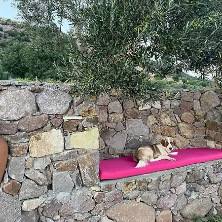 לינה וארוחת בוקר Konak Arya