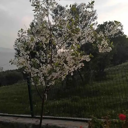 לינה וארוחת בוקר Konak Arya Ayvacik (Canakkale)