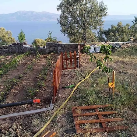 Konak Arya לינה וארוחת בוקר Ayvacik (Canakkale)