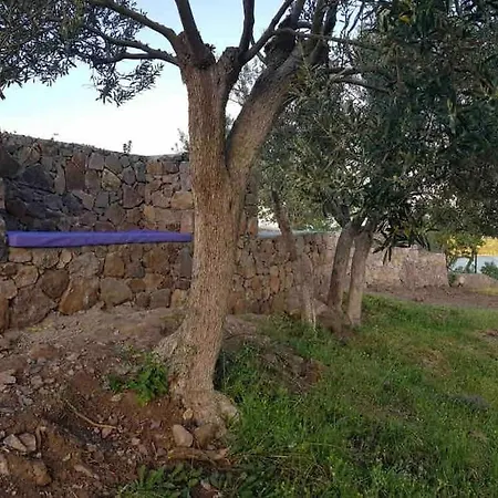 לינה וארוחת בוקר Konak Arya *